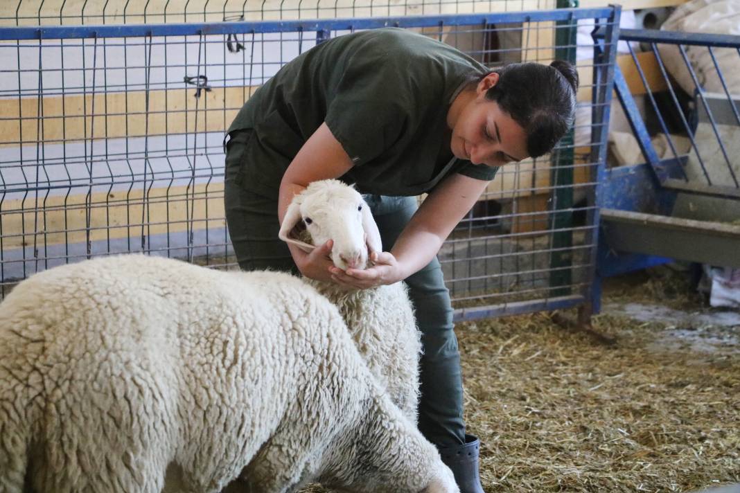 Konya'da hayalini kurdu, kendi işinin patronu oldu 8